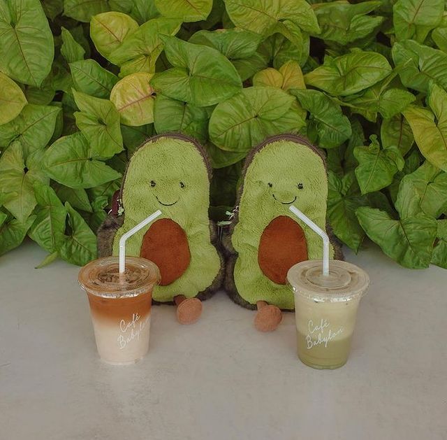 avocats jellycat